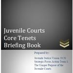 Juvenile Courts Core Tenets Briefing Book